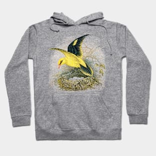 Golden Oriole Hoodie